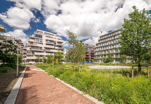 Sausalitolaan 22, Amsterdam-39.jpg